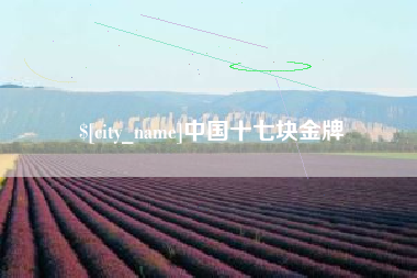南京中国十七块金牌
