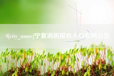 南京宁夏消防报名入口官网公告