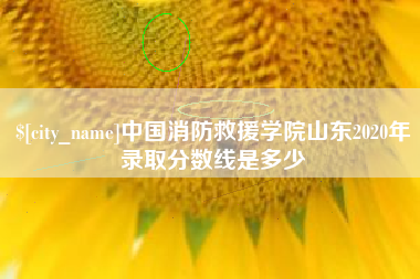 南京中国消防救援学院山东2020年录取分数线是多少