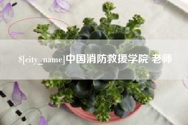 南京中国消防救援学院 老师