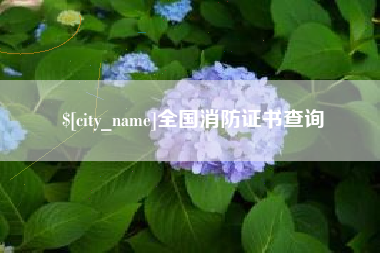南京全国消防证书查询