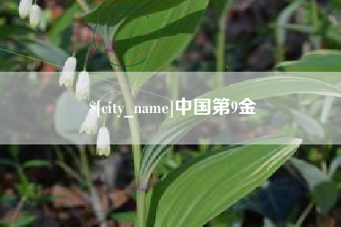 南京中国第9金