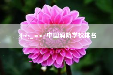 南京中国消防学校排名
