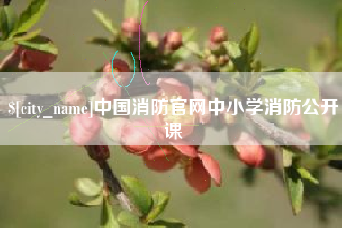 南京中国消防官网中小学消防公开课