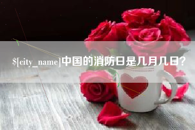 南京中国的消防日是几月几日？
