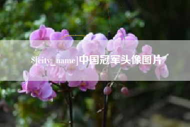 南京中国冠军头像图片