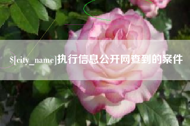 南京执行信息公开网查到的案件