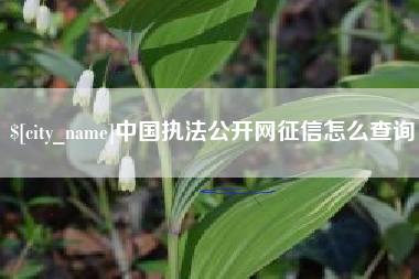 南京中国执法公开网征信怎么查询