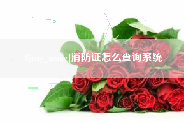 南京消防证怎么查询系统