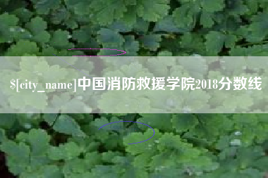 南京中国消防救援学院2018分数线