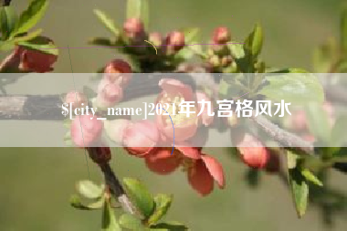 南京2021年九宫格风水