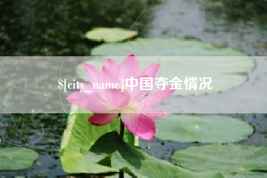南京中国夺金情况