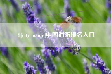 南京中国消防报名入口