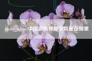 南京中国消防救援学院是在哪里