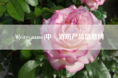 南京中囯消防产品信息网