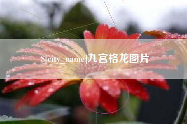 南京九宫格龙图片