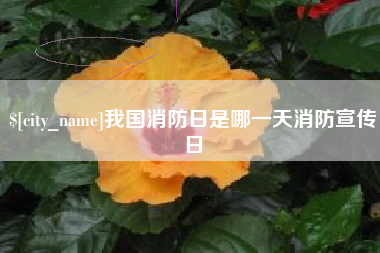 南京我国消防日是哪一天消防宣传日