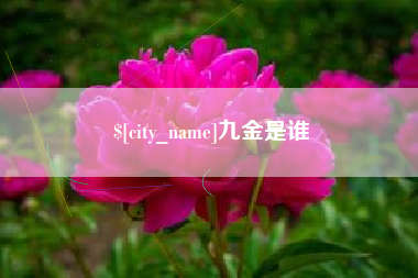 南京九金是谁