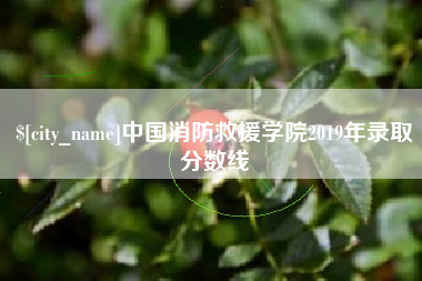 南京中国消防救援学院2019年录取分数线