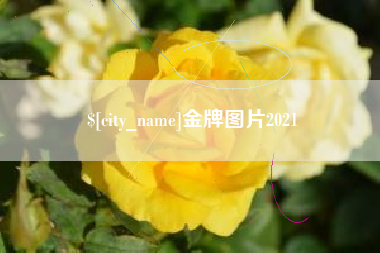 南京金牌图片2021
