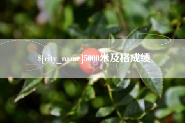南京5000米及格成绩