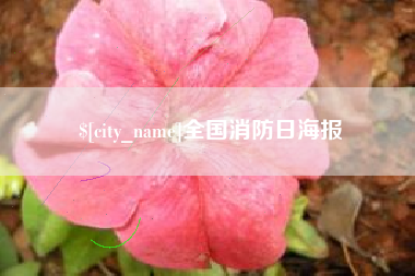 南京全国消防日海报