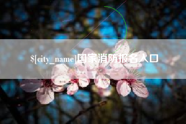 南京国家消防报名入口