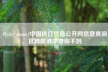 南京中国执行信息公开网信息查询官网限消中查询不到