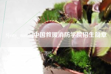 南京中国救援消防学院招生简章