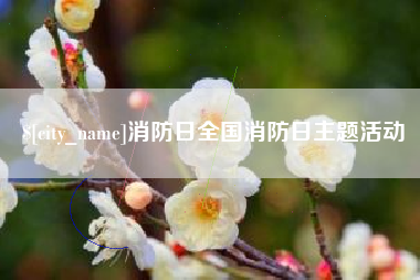 南京消防日全国消防日主题活动