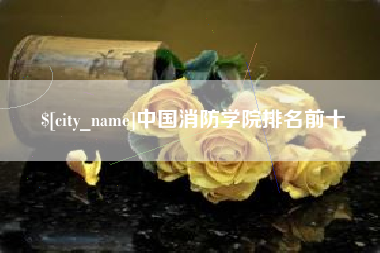 南京中国消防学院排名前十