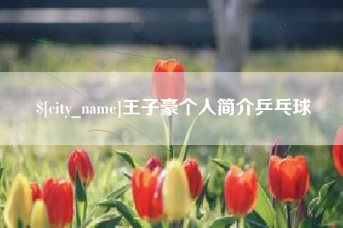 南京王子豪个人简介乒乓球