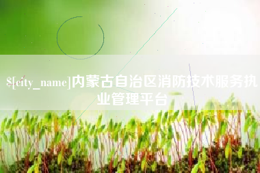 南京内蒙古自治区消防技术服务执业管理平台