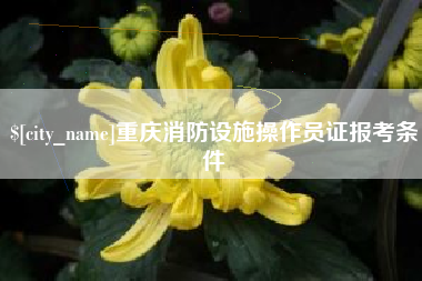 南京重庆消防设施操作员证报考条件