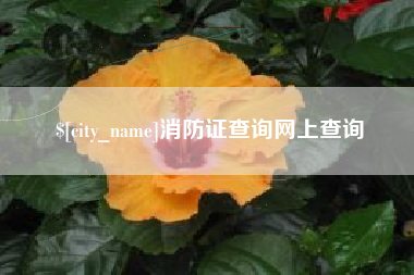 南京消防证查询网上查询