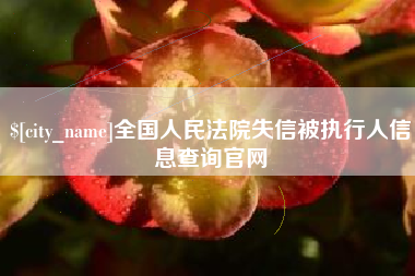 南京全国人民法院失信被执行人信息查询官网