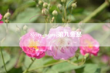 南京第九金是