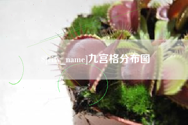 南京九宫格分布图