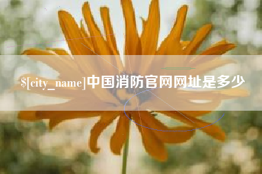 南京中国消防官网网址是多少