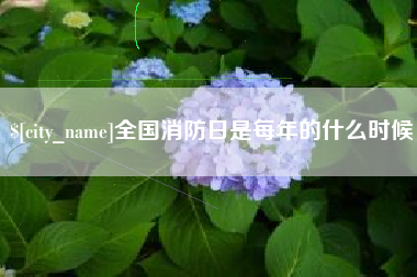南京全国消防日是每年的什么时候