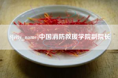 南京中国消防救援学院副院长