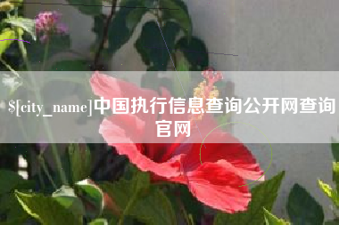 南京中国执行信息查询公开网查询官网