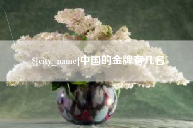 南京中国的金牌有几名