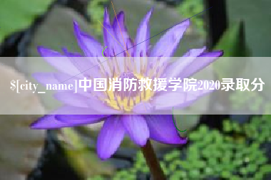南京中国消防救援学院2020录取分
