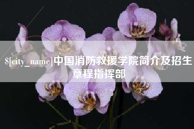 南京中国消防救援学院简介及招生章程指挥部