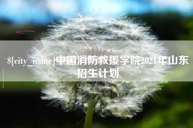 南京中国消防救援学院2021年山东招生计划