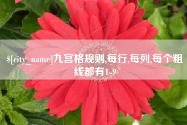 南京九宫格规则,每行,每列,每个粗线都有1-9