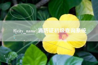 南京消防证初级查询系统