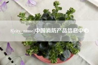 南京中国消防产品信息中心