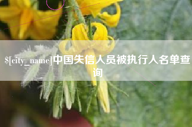 南京中国失信人员被执行人名单查询
